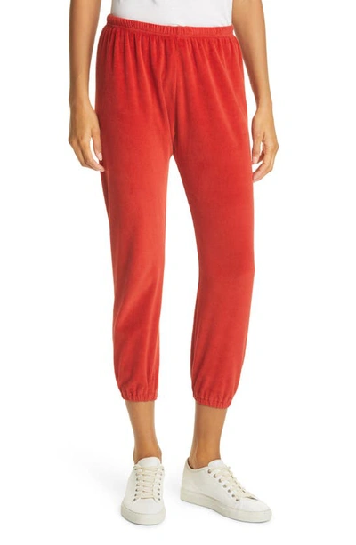Shop The Great The Velour Stadium Sweatpants In Holly