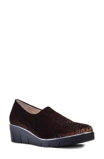 Shop Amalfi By Rangoni Giambattista Slip-on Wedge In Brown Fabric