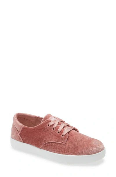 Shop Alegria Poly Sneaker In Blush Velvet Snake Print