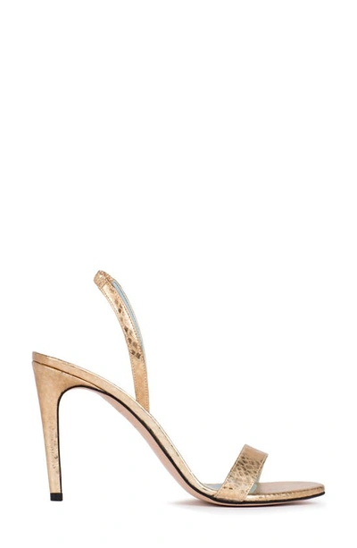 Shop Aera Alexandra Ankle Strap Sandal In Gold Python-effect