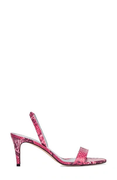 Shop Aera Sally Ankle Strap Sandal In Fuchsia Python-effect