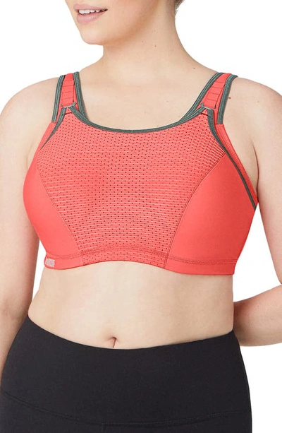 Shop Glamorise Wonderwire Custom Control Underwire Sports Bra In Coral