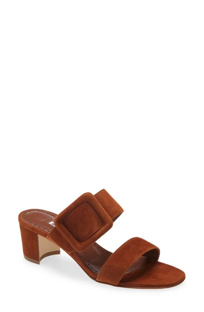 Shop Manolo Blahnik Tituba Slide Sandal In Brown