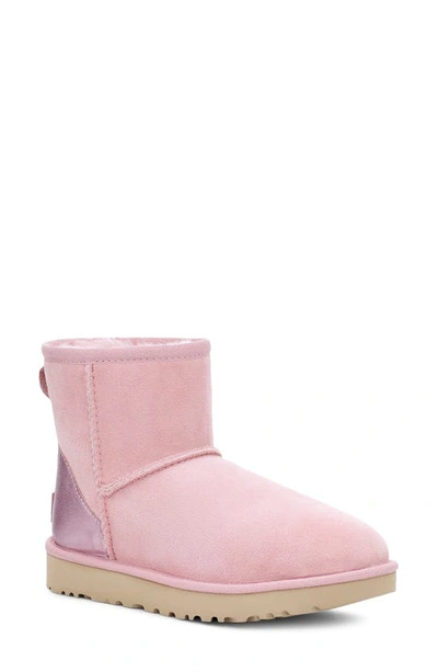 Shop Ugg Classic Mini Ii Genuine Shearling Lined Boot In Pink Cloud Suede
