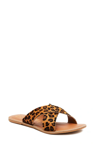 Shop Coconuts By Matisse Pebble Slide Sandal In Tan Leopard Calf Hair