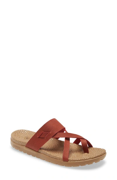 Shop Acorn Riley Leather Sandal In Copper Leather