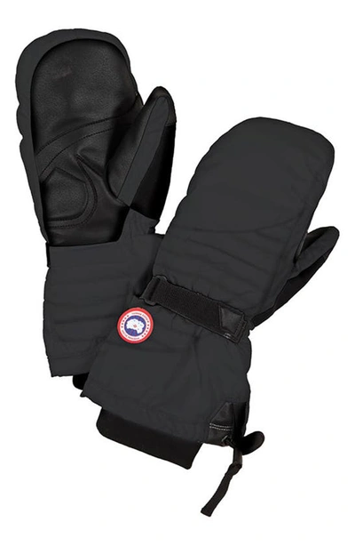 Shop Canada Goose Waterproof 600 Fill Power Down Mittens In Black