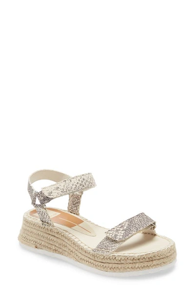 Shop Dolce Vita Myra Espadrille Wedge Sandal In Stone Snake Print