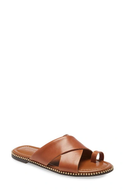 Shop Bcbgeneration Zalli Toe Loop Sandal In Camel Leather