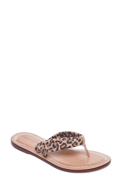 Shop Bernardo Miami Sandal In Sand Cheetah Print Suede