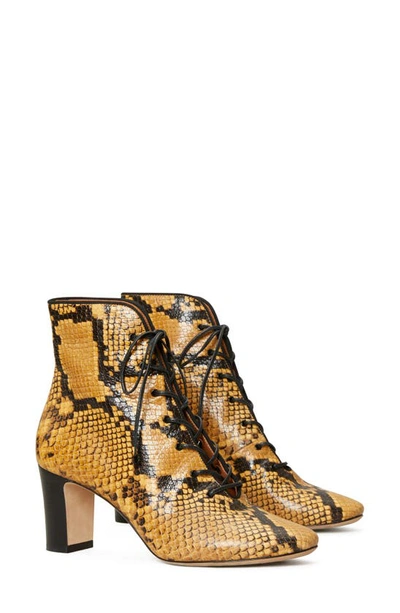 Shop Tory Burch Lace-up Bootie In Gold Crest / Perfect Black