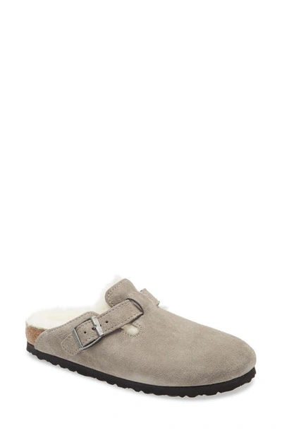 Shop Birkenstock Boston Genuine Shearling Lined Clog In Stone Coin Suede