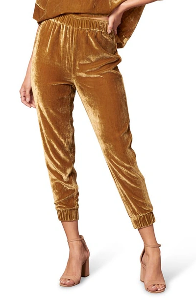 Shop Cupcakes And Cashmere Milo Velour Joggers In Vintage Gold