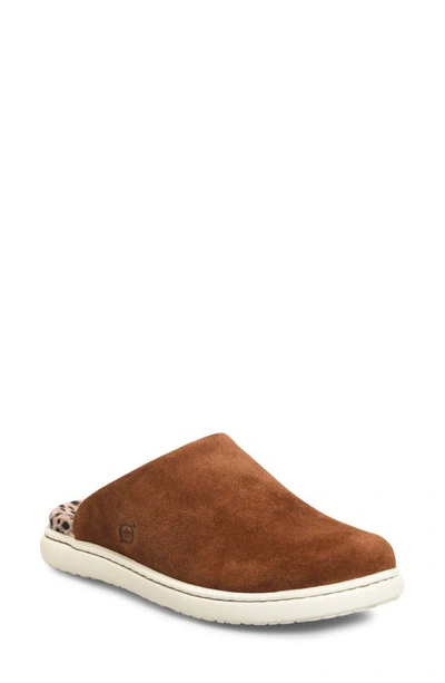 Shop Born Zen Sneaker Mule In Rust Suede