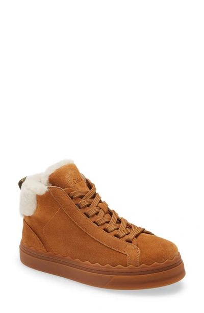 Shop Chloé Lauren Genuine Shearling Lined High Top Sneaker In Natural Brown