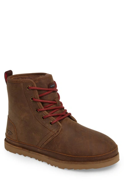 Shop Ugg Harkley Weather Waterproof Plain Toe Boot In Grizzly