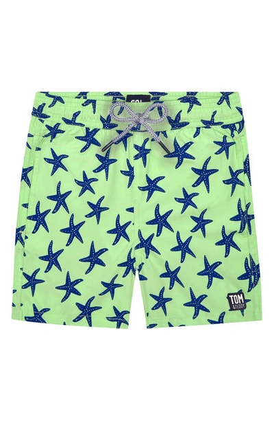 Shop Tom & Teddy Starfish Print Swim Shorts In Fresh Green & Blue