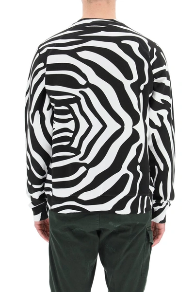 Shop Dsquared2 Zebra Print Logo Sweatshirt In Optical White