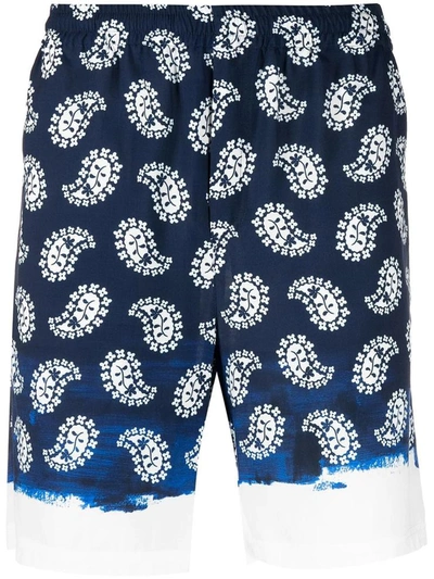 Shop Msgm Shorts In Navy