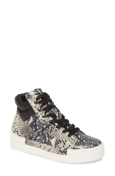 Shop Cecelia New York Silow Platform Lace-up Sneaker In Black White Snake Leather