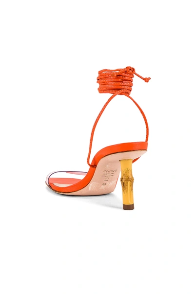 Shop Schutz Dailyn Stiletto In Flame Orange