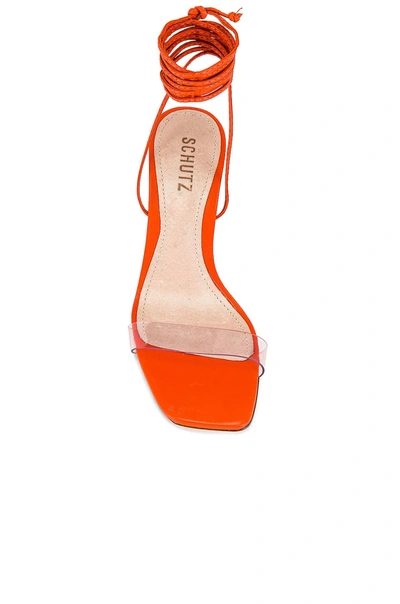 Shop Schutz Dailyn Stiletto In Flame Orange