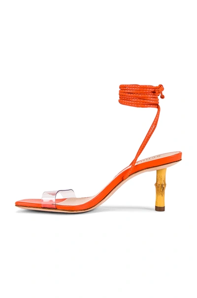 Shop Schutz Dailyn Stiletto In Flame Orange