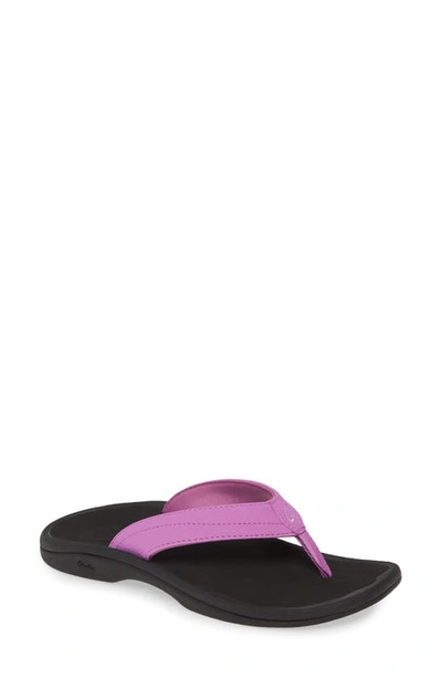 Shop Olukai Ohana Flip Flop In Iris Orchid/ Black