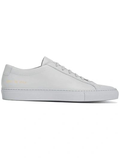 Shop Common Projects Sneakers Grey