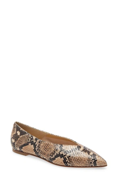 Shop Aeyde Moa Pointed Toe Flat In Natural Snake Print