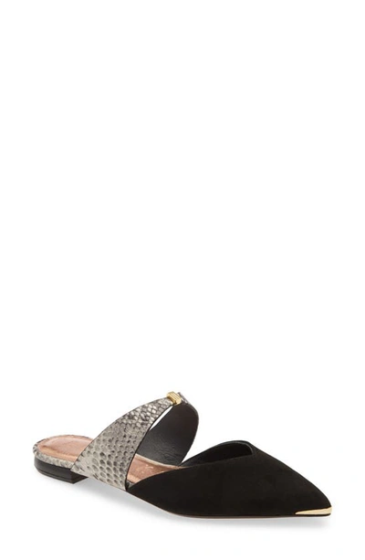 Shop Ted Baker Lorana Mule In Black Suede