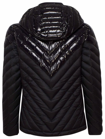 Shop Moose Knuckles Black Exhibition Down Jacket