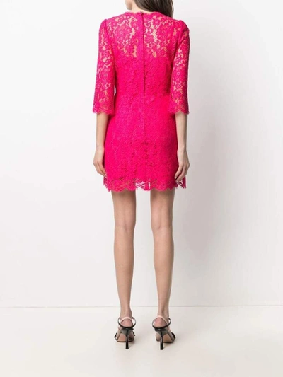 Shop Dolce & Gabbana Dresses Fuchsia