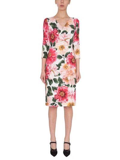 Shop Dolce & Gabbana Camellia Print Dress In Pink