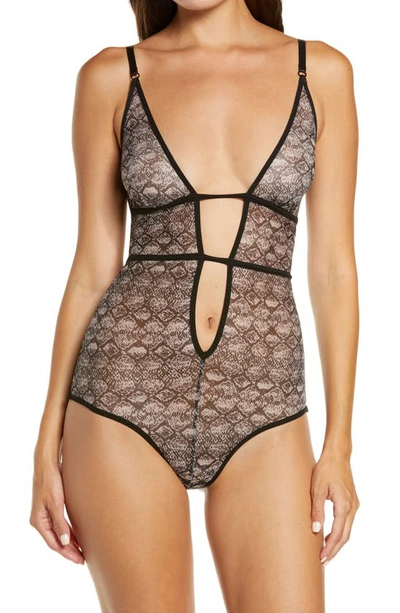 Shop Hauty Snake Charmer Print Mesh Teddy In Beige-black