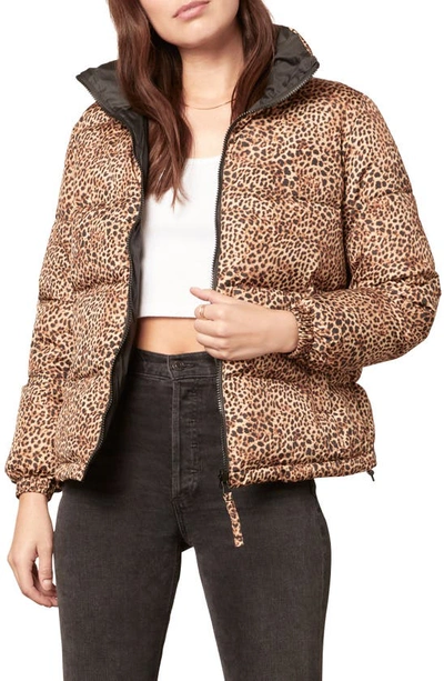 Shop Bb Dakota Cool Kitten Reversible Puffer Jacket In Leopard