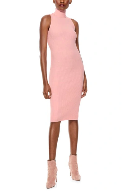 Shop Alice And Olivia Brooklynne Ribbed Turtleneck Dress In Blush