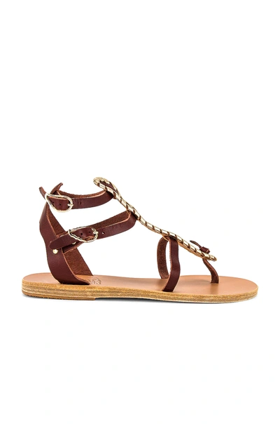 Shop Ancient Greek Sandals Alexa Sandal In Chestnut & Platinum