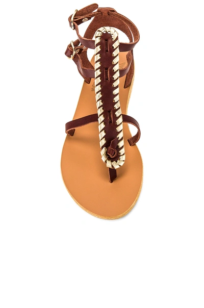 Shop Ancient Greek Sandals Alexa Sandal In Chestnut & Platinum