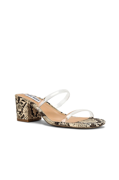 Shop Steve Madden Issy Sandal In Clear & Multi