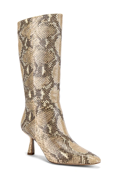 Shop Sam Edelman Samira Boot In Wheat Multi