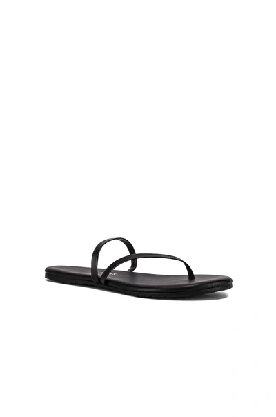 Shop Tkees Sarit Sandal In Black