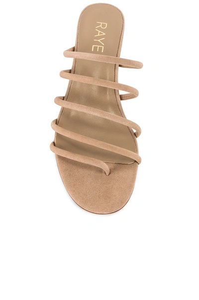 Shop Raye Mindy Heel In Nude