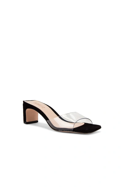 SCHUTZ ONORIA 凉鞋 – TRANSPARENTE BLACK