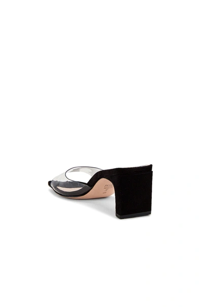 Shop Schutz Onoria Mule In Transparente Black