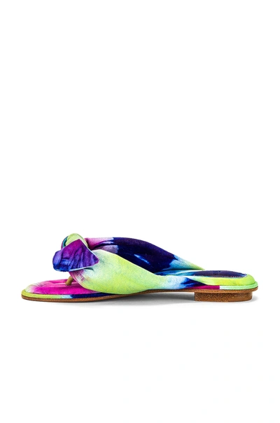 Shop Alexandre Birman Soft Clarita Flat In Bright