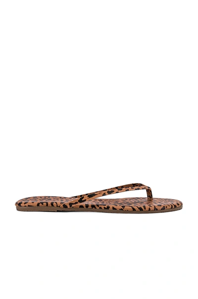 Shop Tkees Studio Exotic Sandal In Nubuck Cheetah