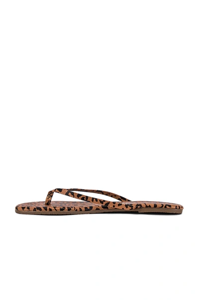 Shop Tkees Studio Exotic Sandal In Nubuck Cheetah