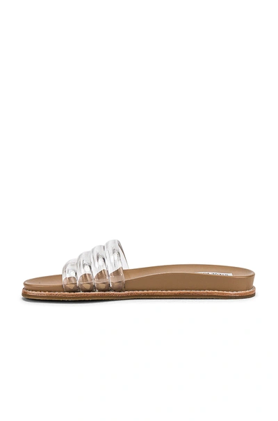 Shop Steve Madden Drips Sandal In Clear