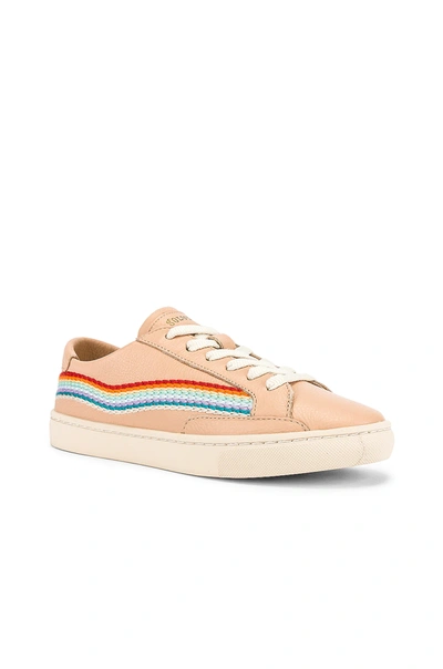 Shop Soludos Rainbow Wave Sneaker In Pink